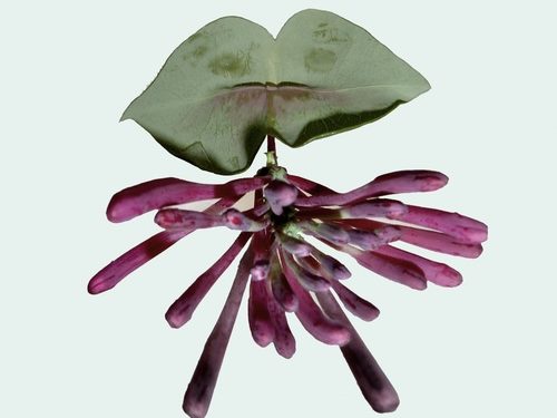 Rosemarie Trockel: A Cosmos / NEW MUSEUM, New York