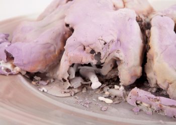 Plate No. 4, mixed ceramic medium, from Roy Maayan's "No Added Preservatives", Periscope Gallery, Tel-Aviv, 2014. Photo by Hagar Cygler.