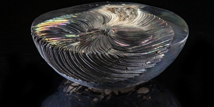 Marc Leuthold Ceramics