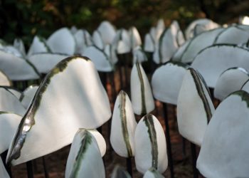 Jenni Ward Ceramics