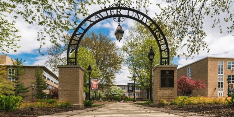 3D Studio / Ceramic Assistant at Saint Xavier University