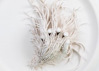 Julia Morlot Ceramics