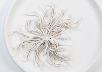 Julia Morlot Ceramics