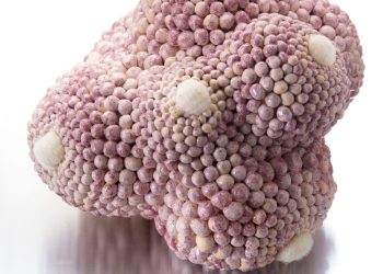 Angelica Tulimiero Ceramics